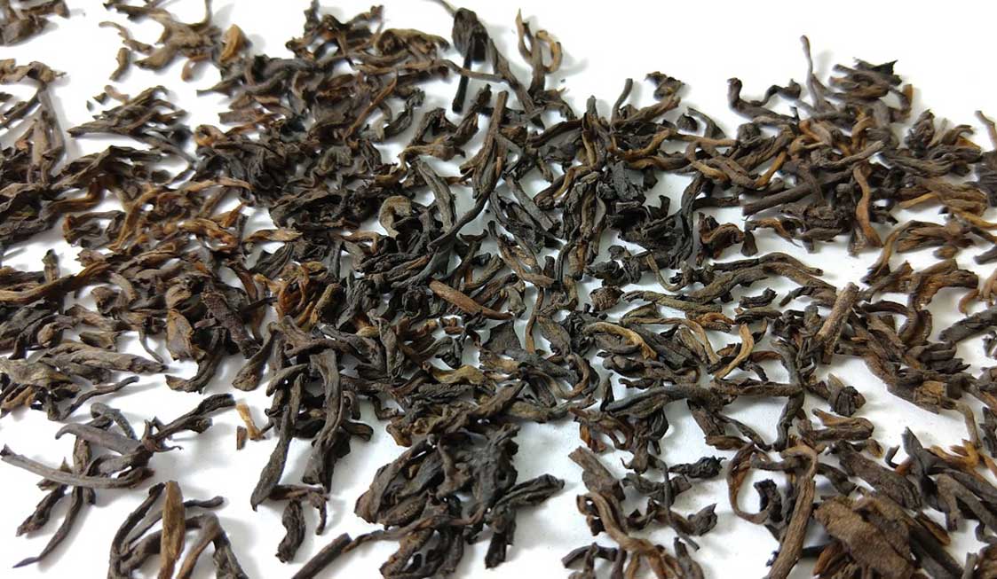 Pu Erh Dante